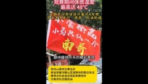 开云-安徽球迷支持南京队，网友：芜马滁三兄弟永远跟着南哥走